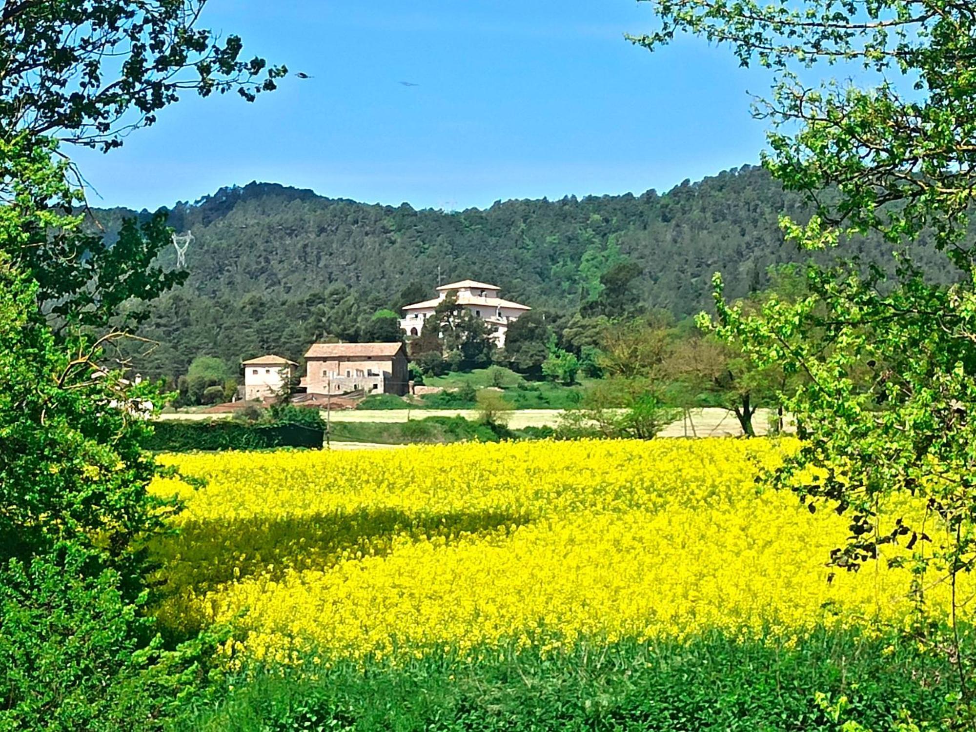La Torre Del Vilar Santa Eulalia de Riuprimer Bagian luar foto